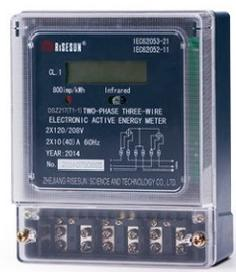 DSZ217 (T1-1) Two Phase Electronic Meter